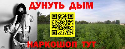 соль ск Кингисепп