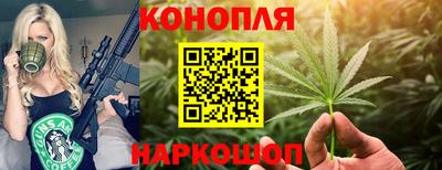 соль ск Кингисепп
