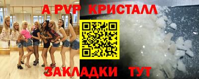 соль ск Кингисепп