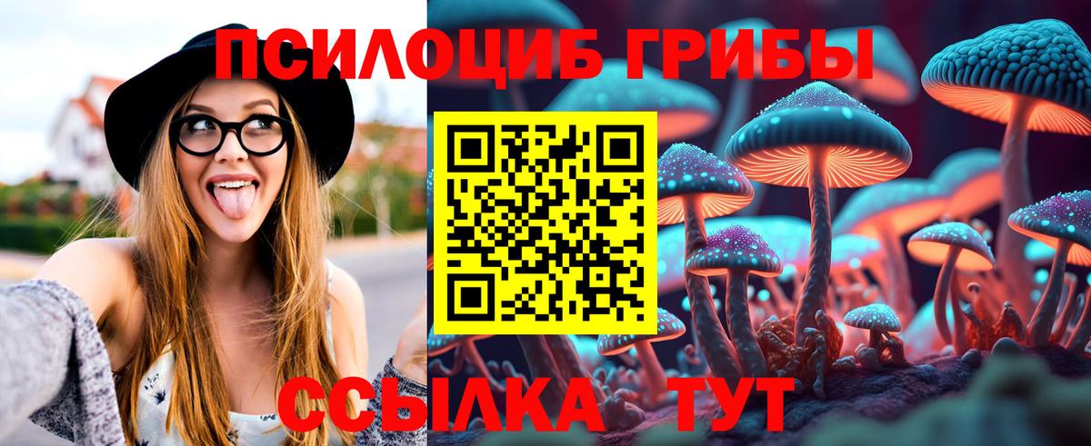 Галлюциногенные грибы Psilocybine cubensis Донецк